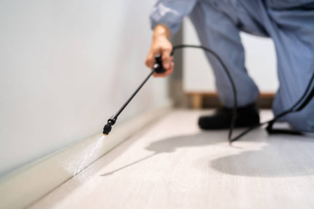 Licensed Termite Control service in Sissonville, WV - Nex Pest Control