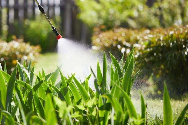 24/7 Emergency Termite Control experts in Sissonville, WV