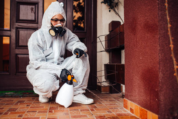 Reliable Termite Control contractor in Sissonville, WV by Nex Pest Control