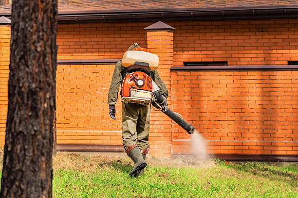 Top rated local Termite Control specialists in Sissonville, WV